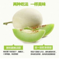 網紅冰淇淋玉菇甜瓜新鮮當季水果白皮綠肉香甜玉茹蜜小香瓜包郵